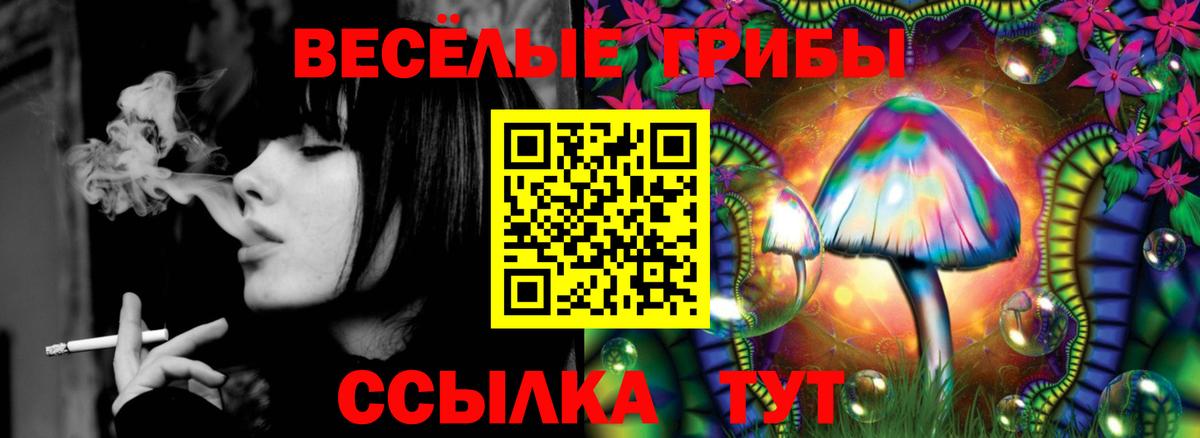 Псилоцибиновые грибы Cubensis Челябинск